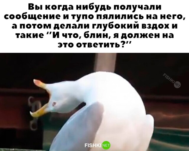 Скрины из соцсетей            