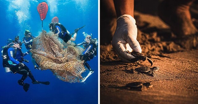 15 победителей фотоконкурса ООН, посвященного Всемирному дню океанов