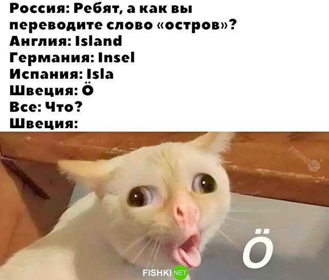 Скрины из соцсетей            