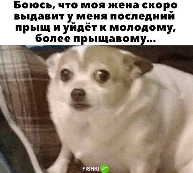 Скрины из соцсетей            