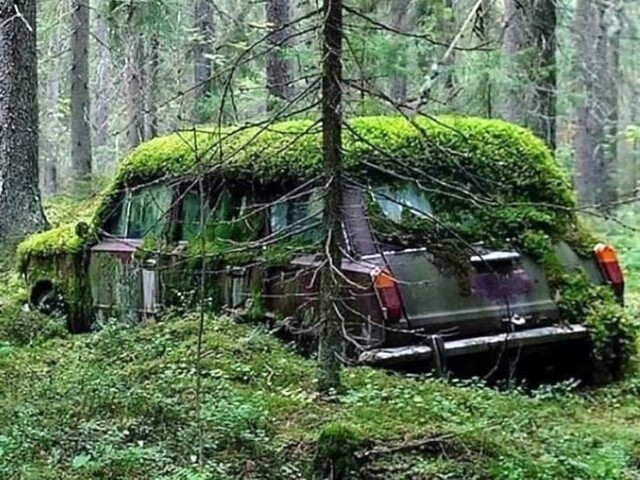 АвтоВсячина