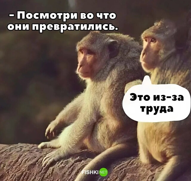 Скрины из соцсетей&nbsp;&nbsp;&nbsp;&nbsp;&nbsp;&nbsp;&nbsp;&nbsp;&nbsp;&nbsp;&nbsp;&nbsp;