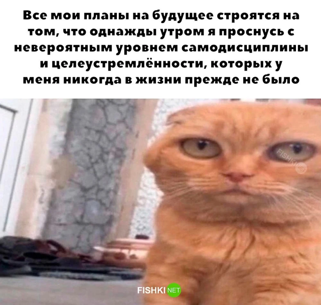 Не ищите здесь смысл. Здесь в основном маразм