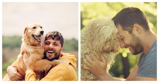 Собаки действительно любят своих хозяев