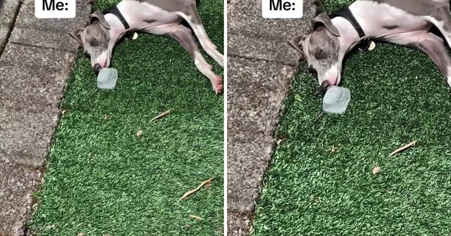 Ваши планы на лето?