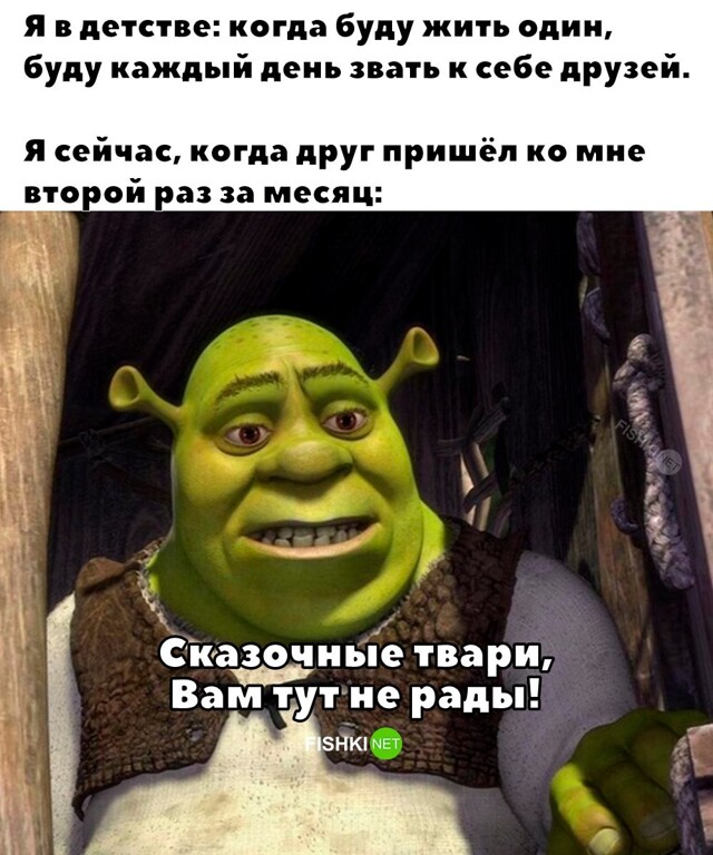 Скрины из соцсетей            