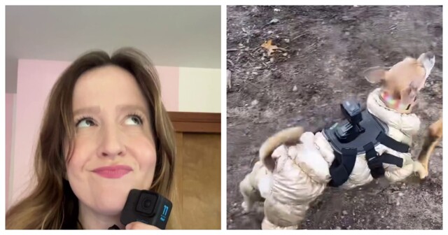 Ожидания не всегда совпадают с реальностью