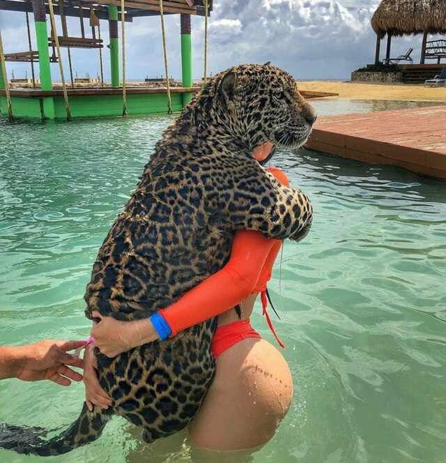 Всё вразнобой&nbsp;