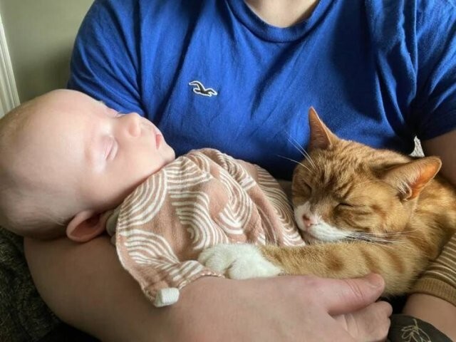 Намешалось