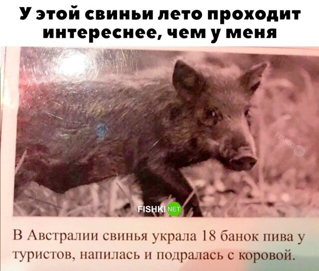 Скрины из соцсетей            