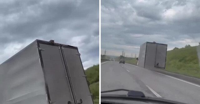 Кот проехал всю Кемеровскую область на крыше грузовика