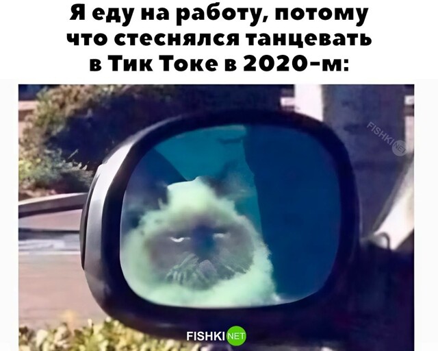 Скрины из соцсетей            