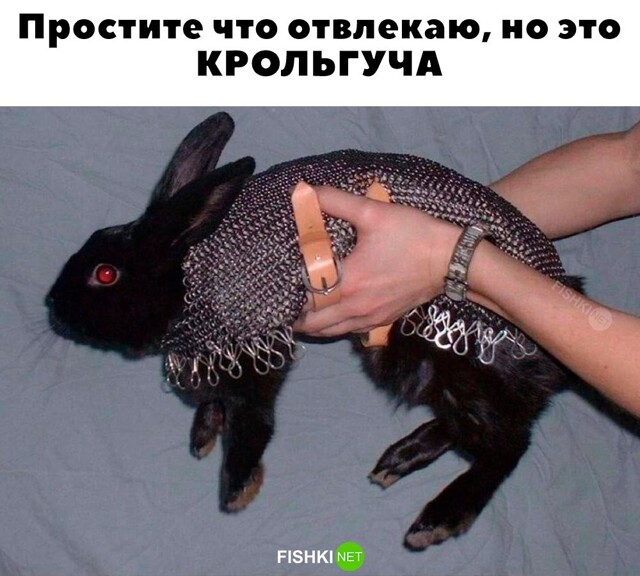 Скрины из соцсетей 