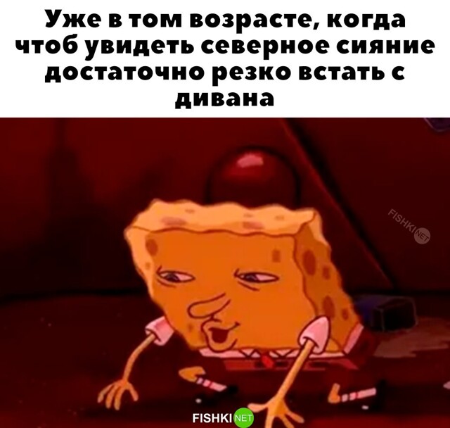 Скрины из соцсетей            