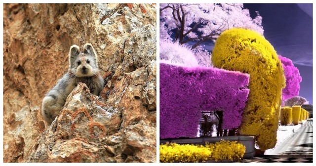 17 обычных и одновременно удивительных фотографий
