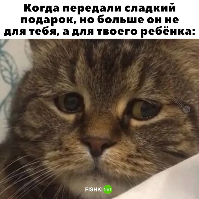 Скрины из соцсетей            