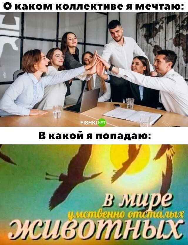 Скрины из соцсетей            