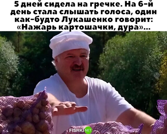 Улыбатор