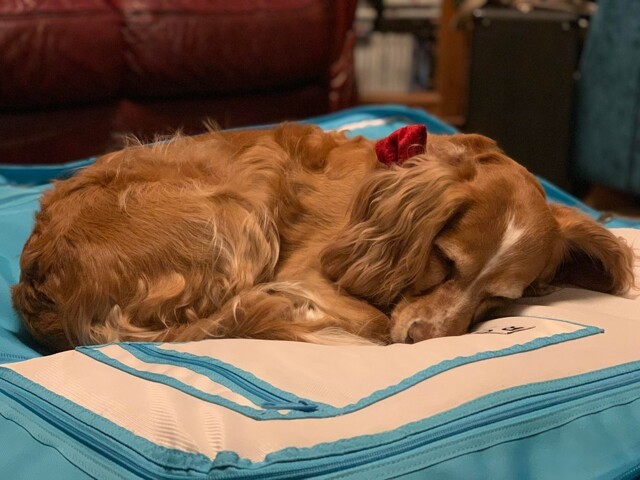 Утро задалось