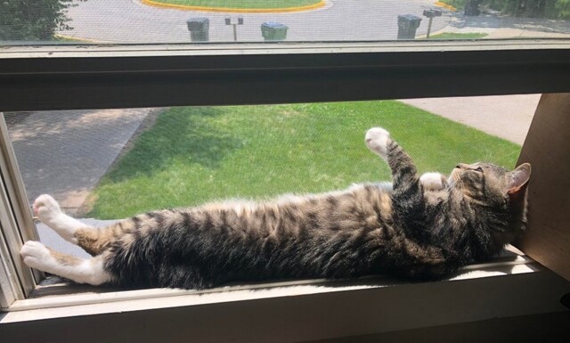 Утро задалось