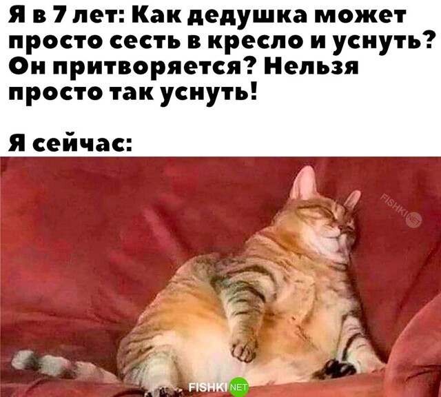 Скрины из соцсетей            