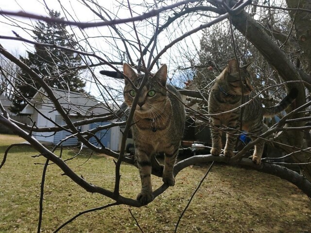 Утро задалось