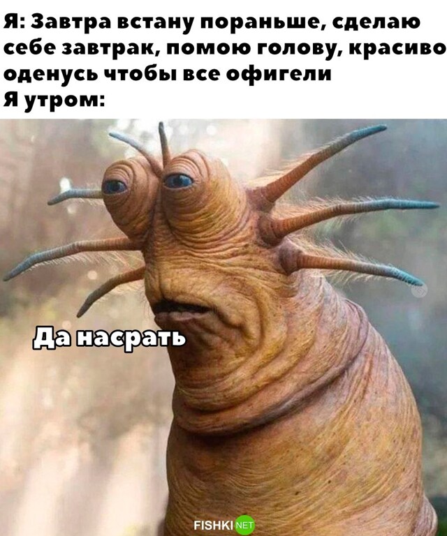 Скрины из соцсетей            