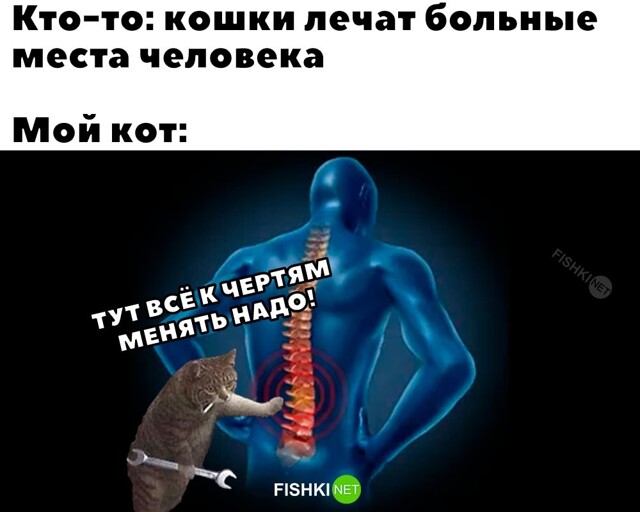 Всё вразнобой 