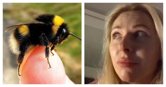 Рецепт жареных шмелей от Алисы