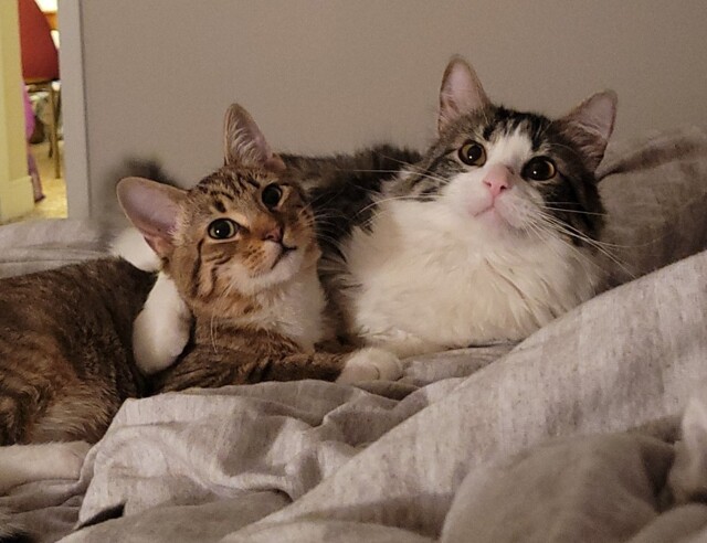 Утро задалось