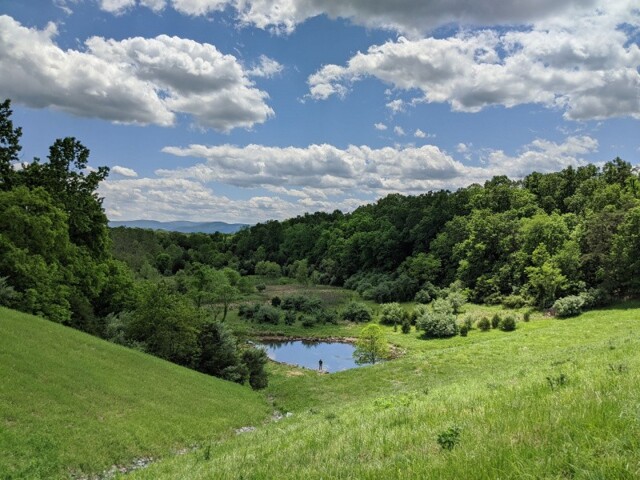 Всё вразнобой 