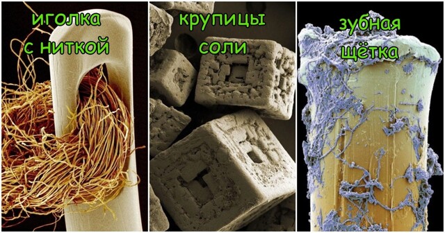 15 привычных предметов и объектов, снятых  микроскопом