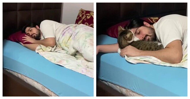 С кошкой засыпается лучше