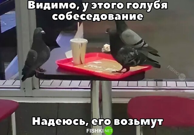 Скрины из соцсетей            