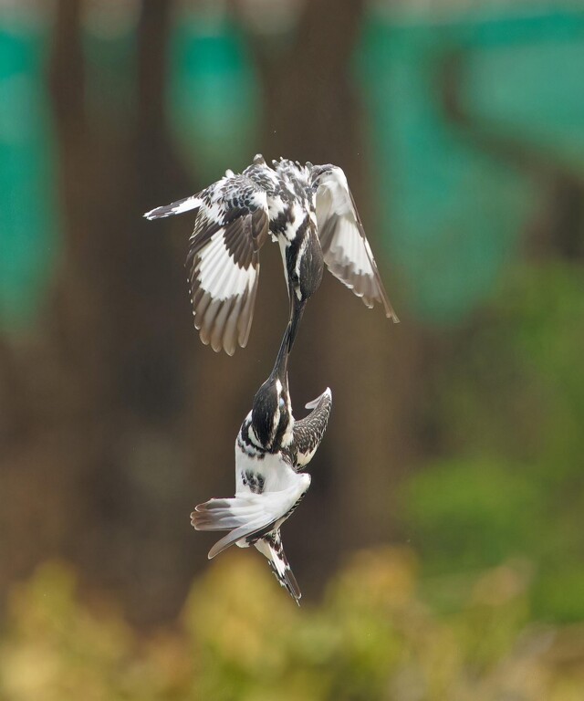 На общую тему 