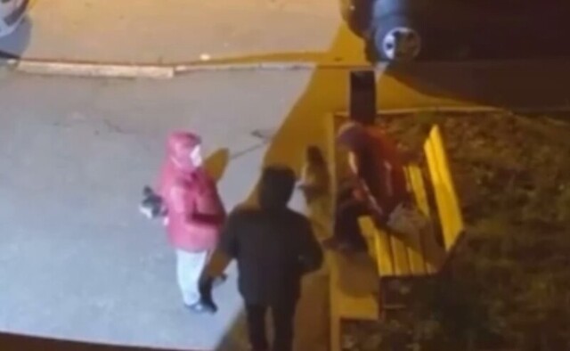 В Подмосковье мужчина ударил пенсионерку, подкармливающую животных
