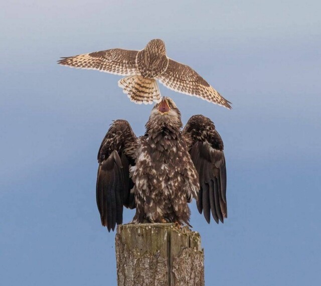 На общую тему 