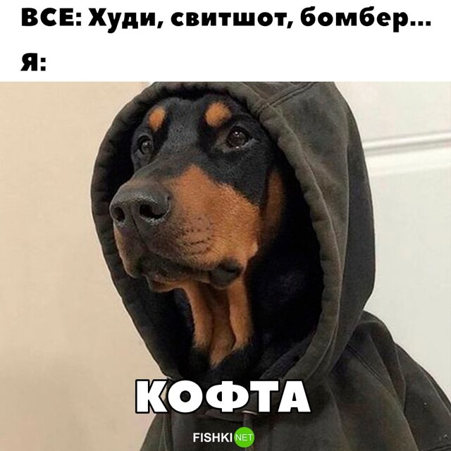 Скрины из соцсетей            