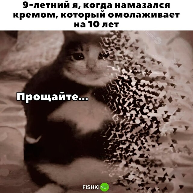 Не ищите здесь смысл. Здесь в основном маразм