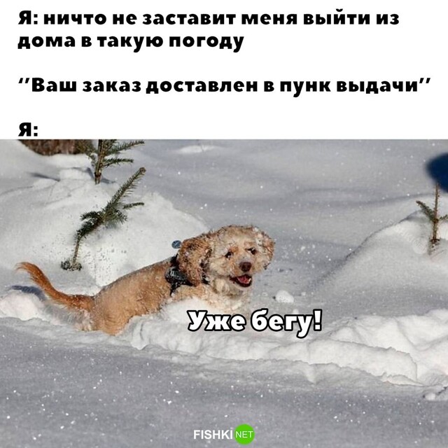 Смешные картинки