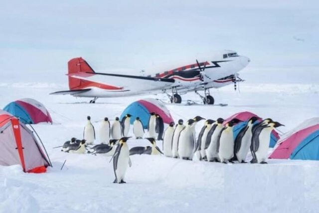 Намешалось