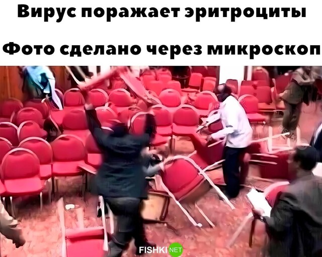 Скрины из соцсетей            