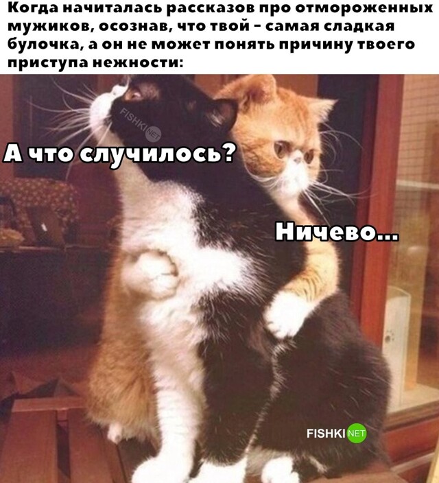 Не ищите здесь смысл. Здесь в основном маразм