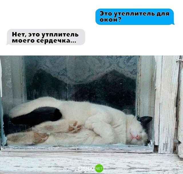 Скрины из соцсетей