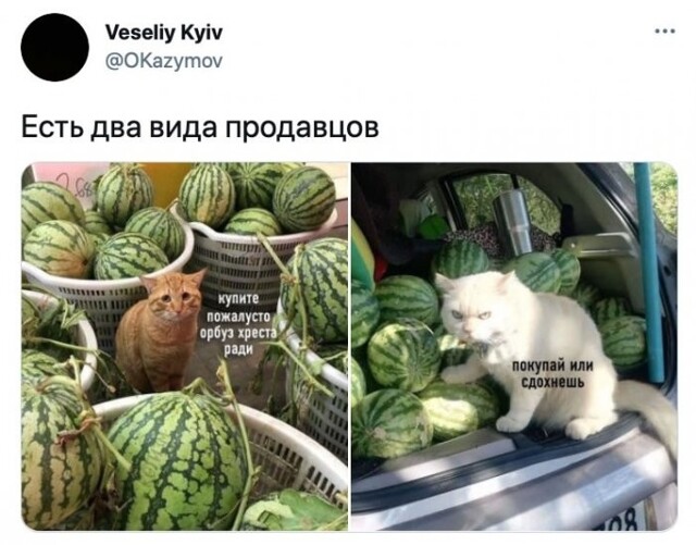 Смешные картинки