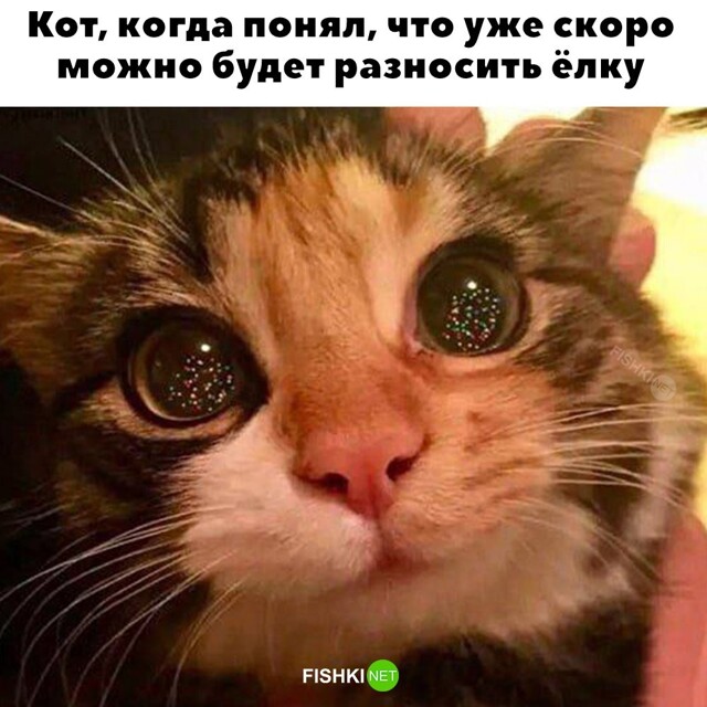 Встречаем Пятницу !
