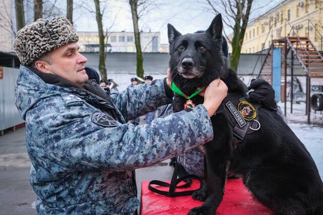 В Санкт-Петербурге служебную собаку впервые наградили медалью Росгвардии