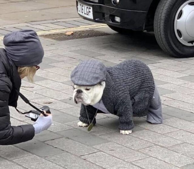 Намешалось 