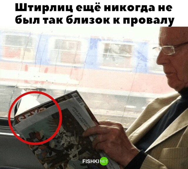 Скрины из соцсетей            