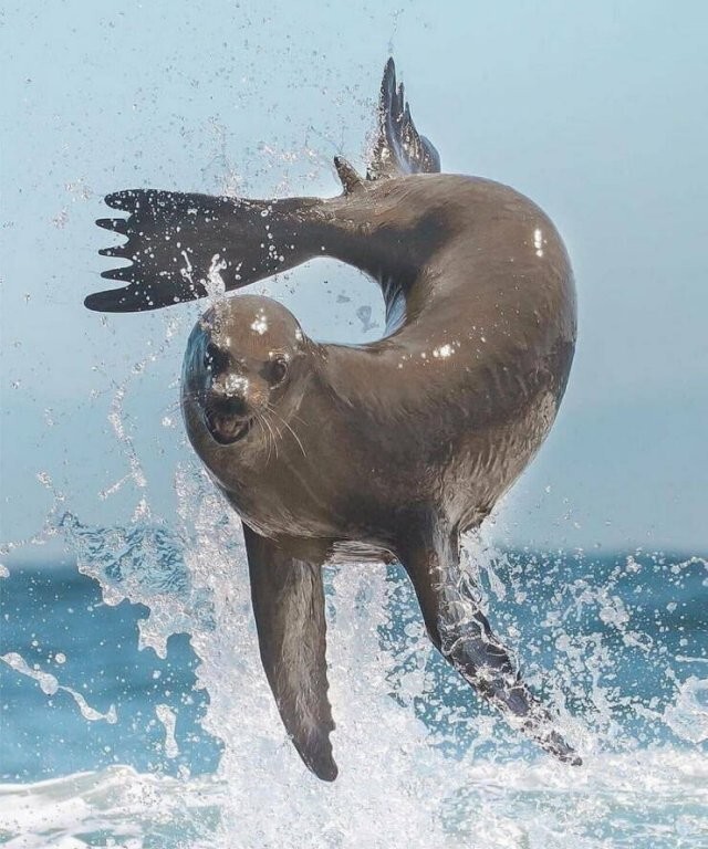 Намешалось